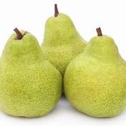Anjou Pear